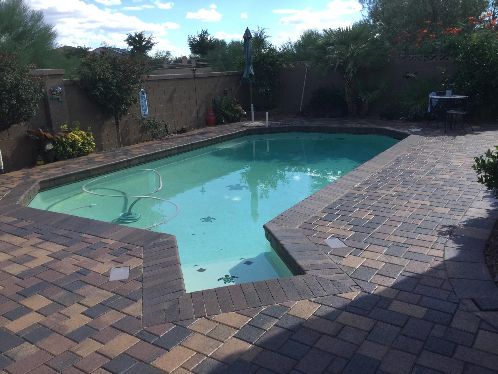 Multi-tone paver pool deck with desert plants and privacy wall in Arizona