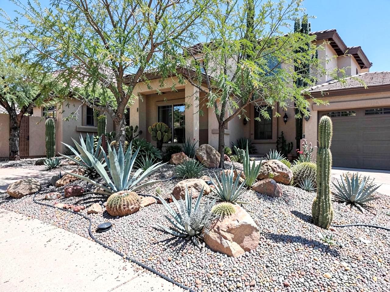 Landscape Installation project by Blue Ribbon in Phoenix Arizona